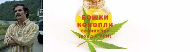 сатива Верхний Тагил