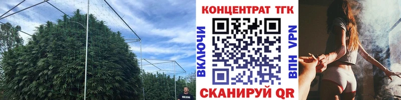 сколько стоит  Георгиевск  Дистиллят ТГК THC oil 