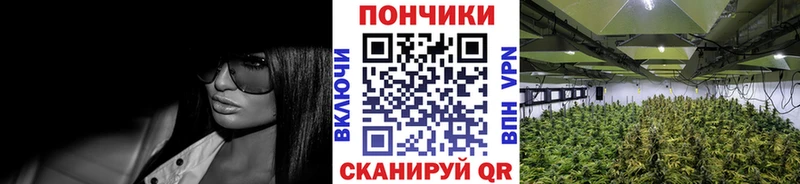 Бошки Шишки ГИДРОПОН  купить наркотик  Георгиевск 